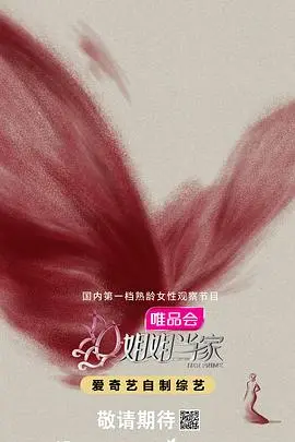 《姐姐当家》：职场攻略与极限挑战的完美结合，看姐姐们如何玩转职场和人生！