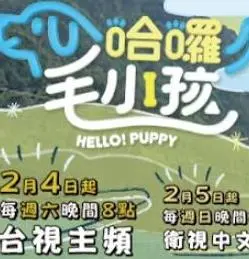 《哈啰！毛小孩》：这萌宠治愈力爆棚！我的晋升技巧原来是靠它们？